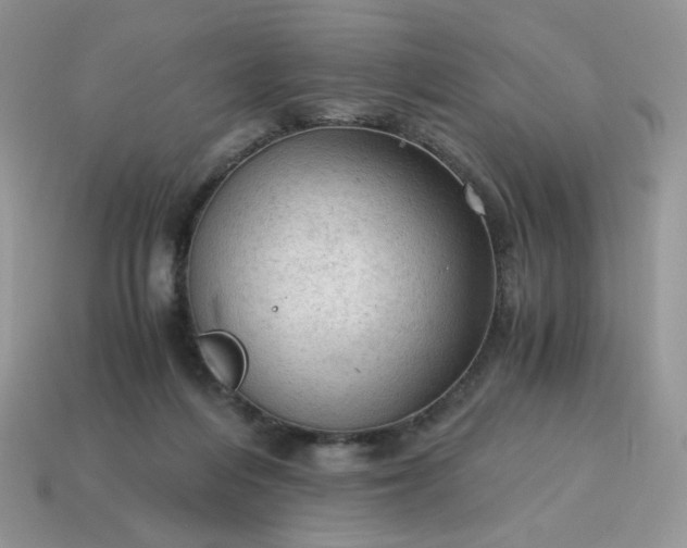 X0000115060216200911091453