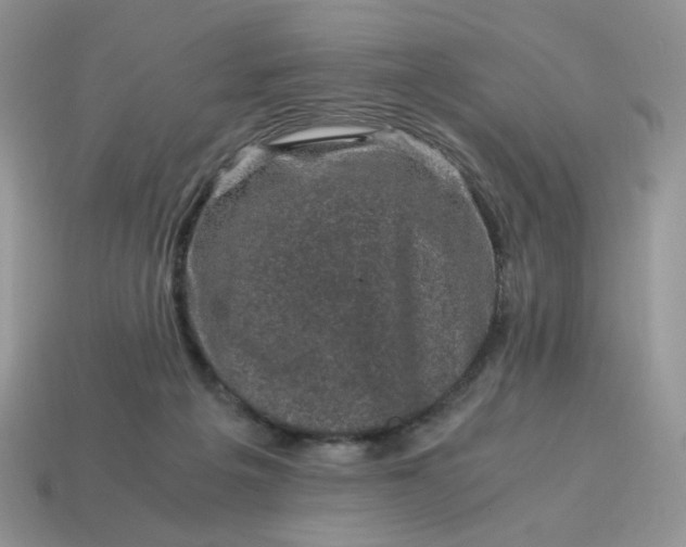 X0000115060217200911091453