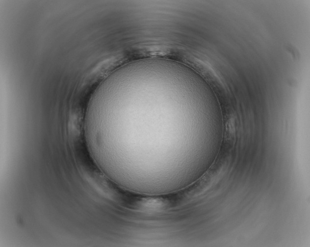 X0000115060218200911091453