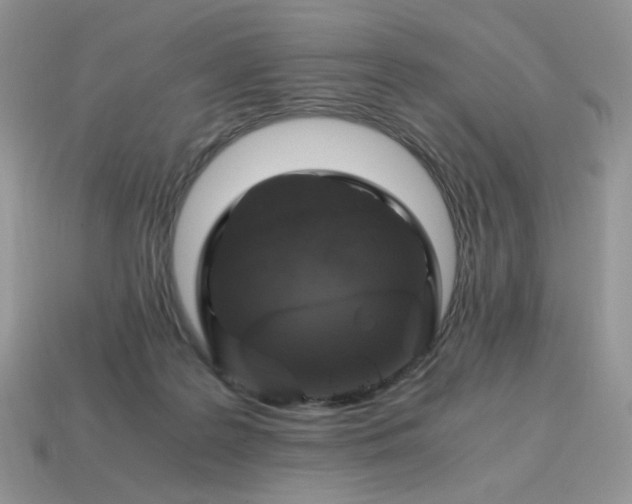 X0000115060219200911091453