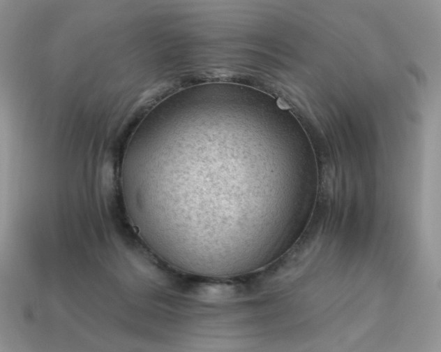 X0000115060220200911091453