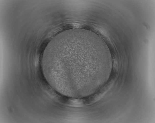 X0000115060221200911091453