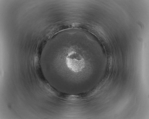 X0000115060222200911091453