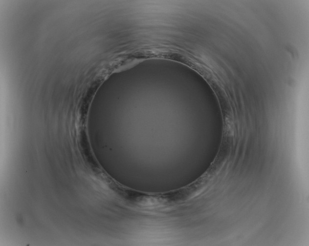 X0000115060223200911091453