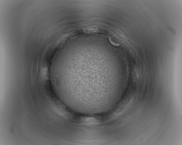 X0000115060224200911091453