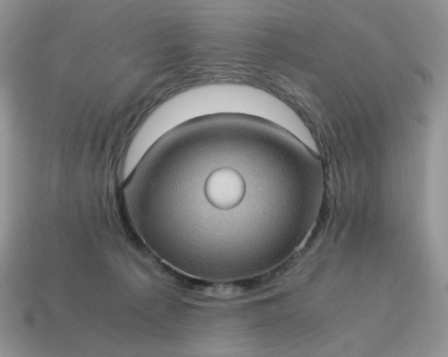 X0000115060225200911091453