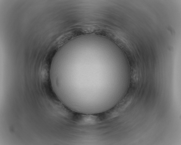 X0000115060226200911091453