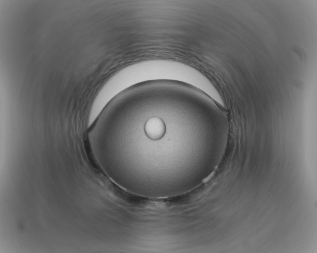 X0000115060227200911091453