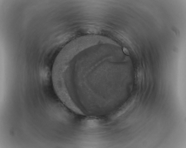 X0000115060228200911091453