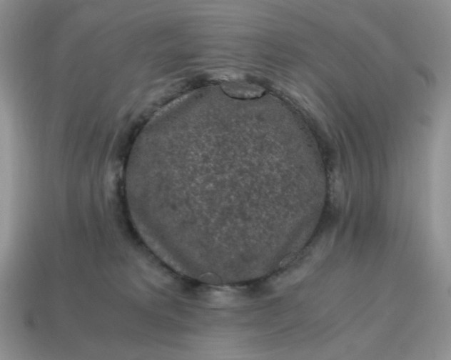 X0000115060229200911091453