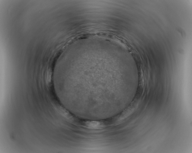 X0000115060230200911091453