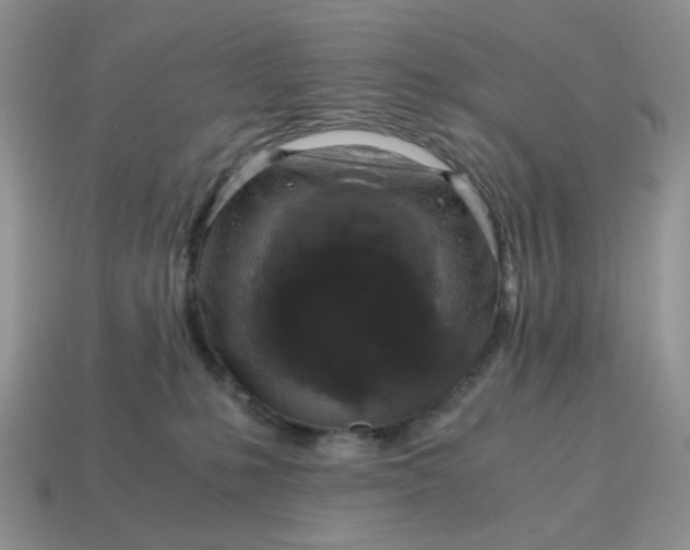 X0000115060231200911091453