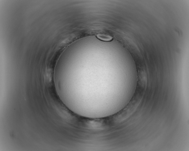 X0000115060232200911091453