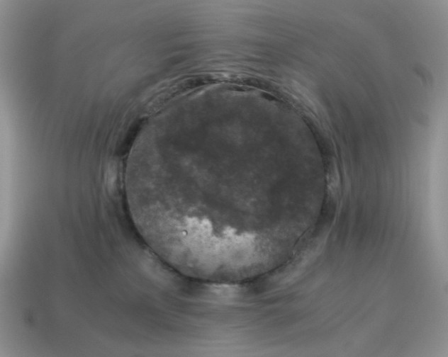 X0000115060233200911091453