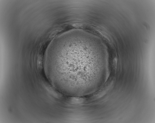 X0000115060234200911091453