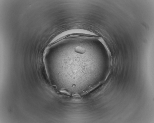 X0000115060236200911091453