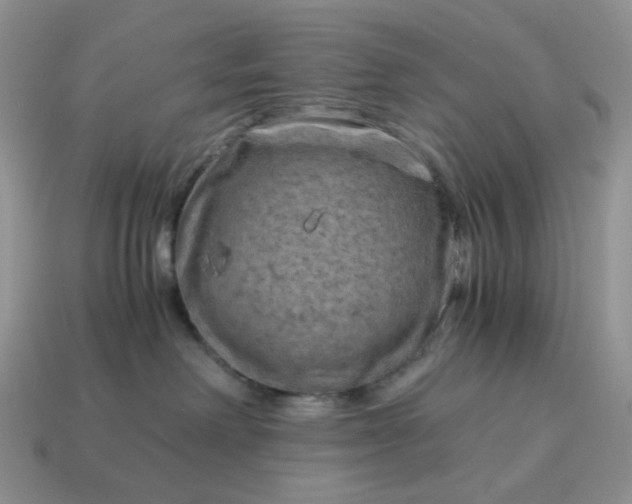 X0000115060238200911091453