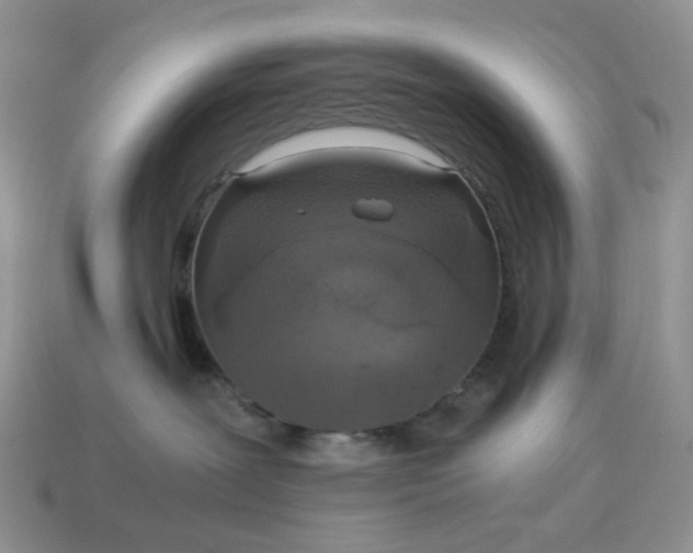 X0000115060239200911091453