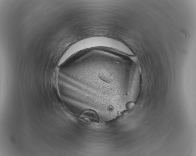 X0000115060240200911091453