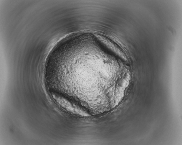 X0000115060241200911091452