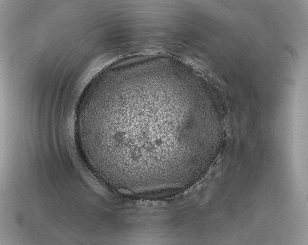 X0000115060242200911091452