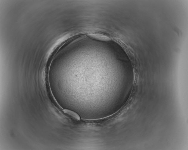 X0000115060244200911091452