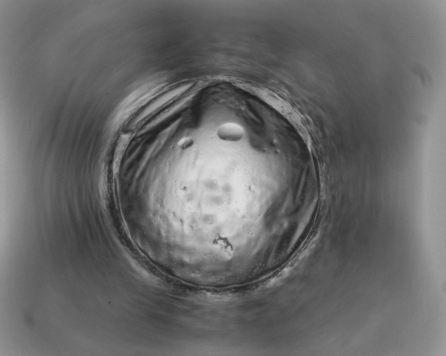 X0000115060245200911091452