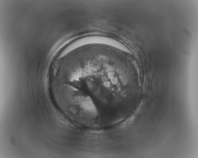 X0000115060247200911091452