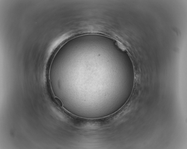 X0000115060248200911091452