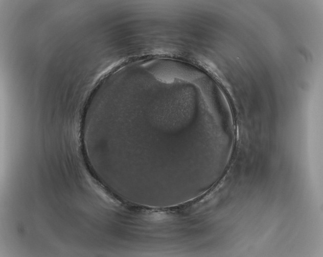 X0000115060249200911091452