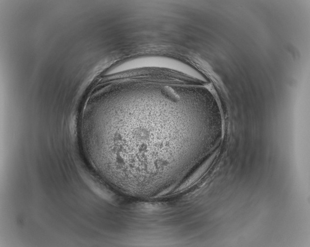 X0000115060250200911091452