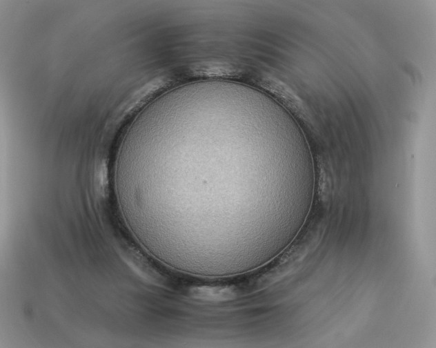 X0000115060251200911091452