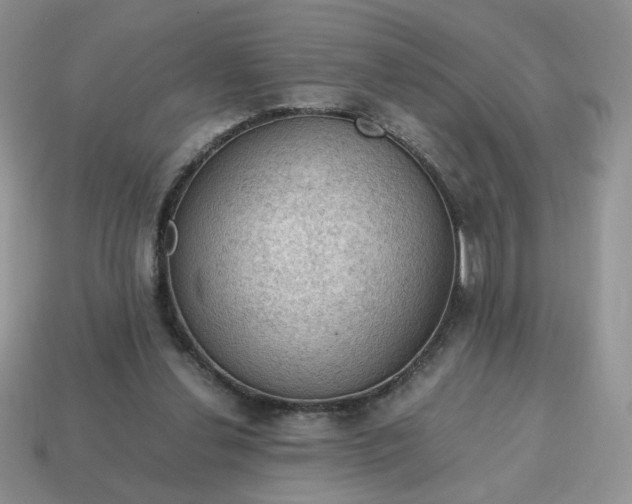 X0000115060252200911091452