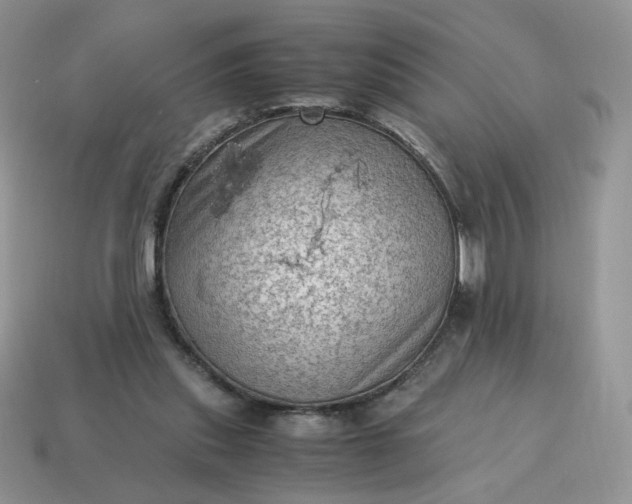 X0000115060253200911091452