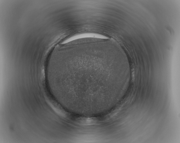 X0000115060254200911091452