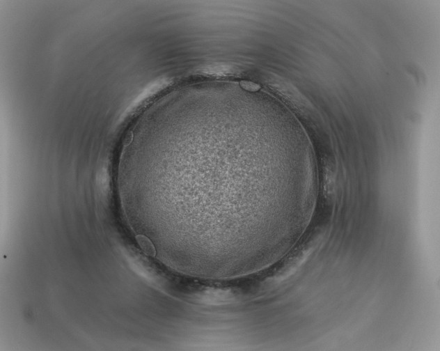 X0000115060256200911091452