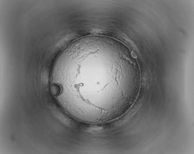 X0000115060257200911091452