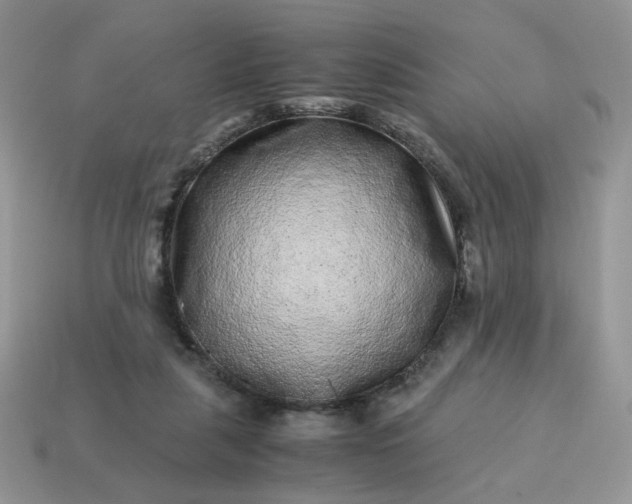 X0000115060259200911091452