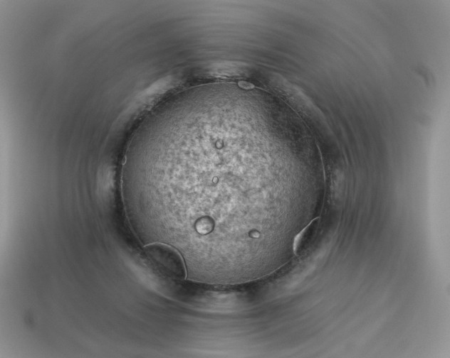 X0000115060260200911091452