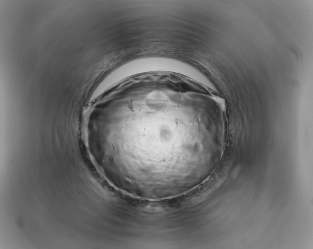 X0000115060261200911091452