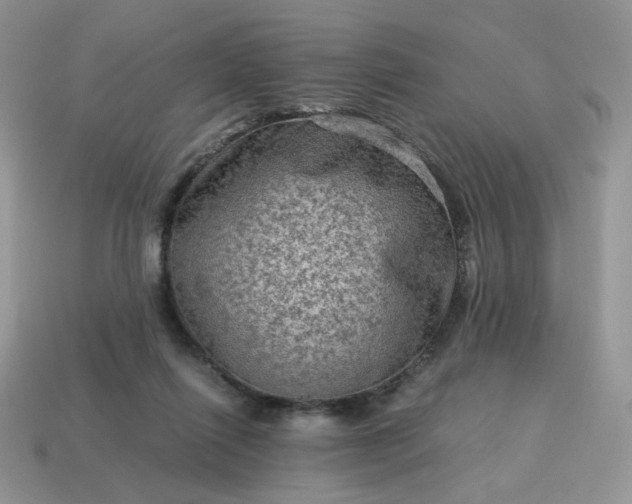 X0000115060262200911091452