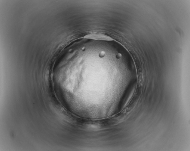 X0000115060263200911091452