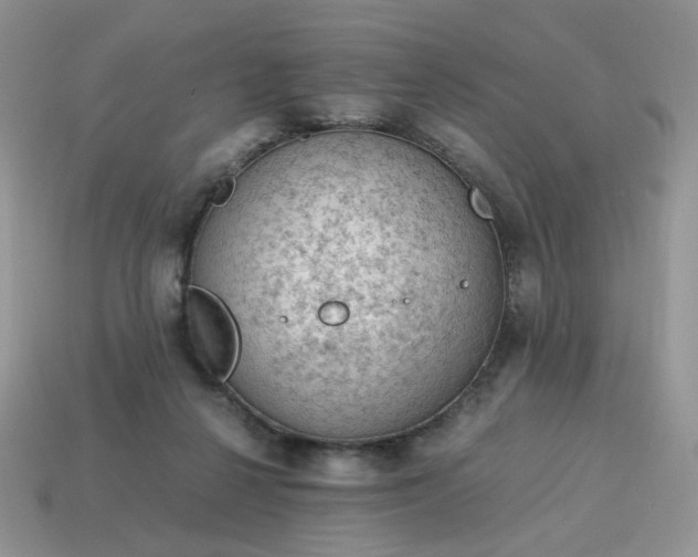 X0000115060264200911091452