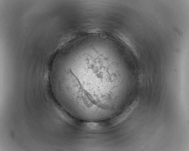 X0000115060265200911091452