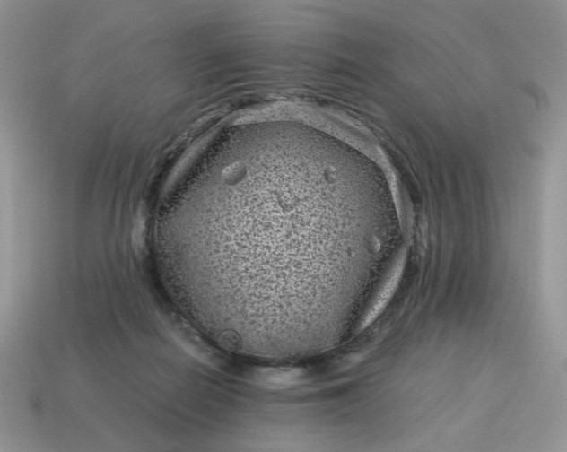 X0000115060266200911091452