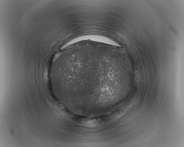 X0000115060267200911091452