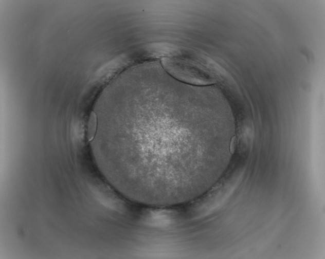 X0000115060268200911091452