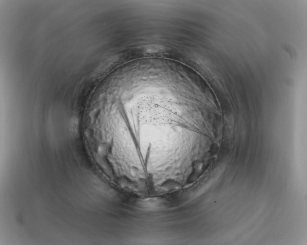 X0000115060269200911091452