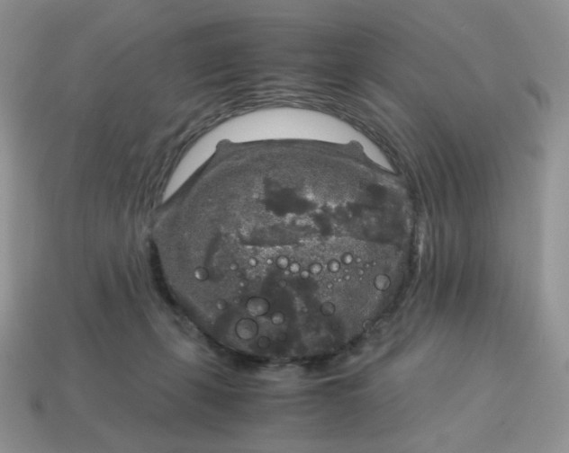 X0000115060271200911091452