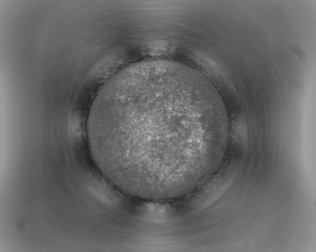 X0000115060272200911091452